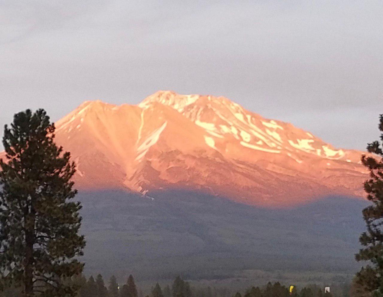 Monte Shasta